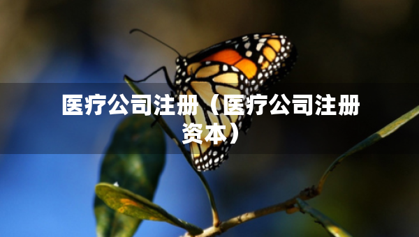 醫(yī)療公司注冊(cè)（醫(yī)療公司注冊(cè)資本）