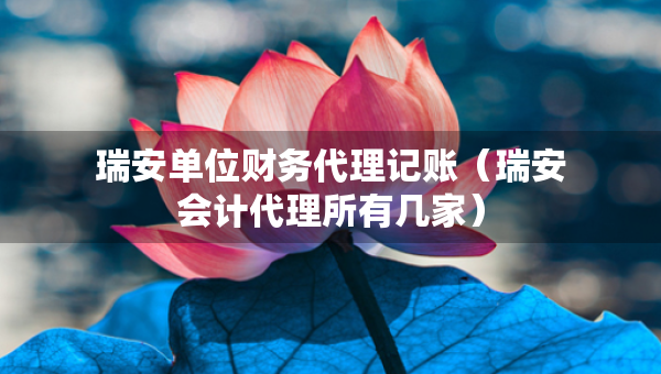 瑞安單位財(cái)務(wù)代理記賬（瑞安會(huì)計(jì)代理所有幾家）