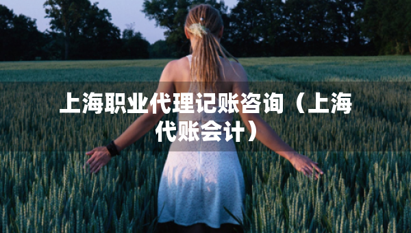 上海職業(yè)代理記賬咨詢（上海代賬會(huì)計(jì)）