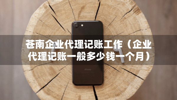 蒼南企業(yè)代理記賬工作（企業(yè)代理記賬一般多少錢一個(gè)月）