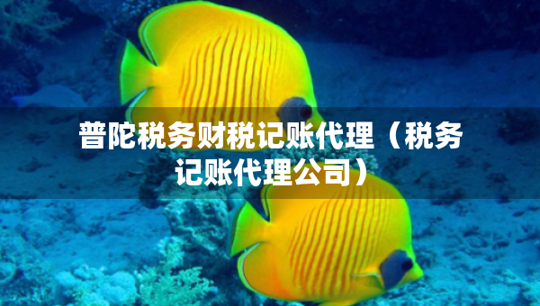 普陀稅務(wù)財(cái)稅記賬代理（稅務(wù)記賬代理公司）
