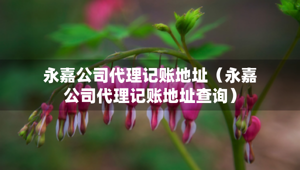 永嘉公司代理記賬地址（永嘉公司代理記賬地址查詢(xún)）