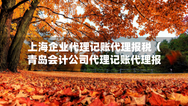 上海企業(yè)代理記賬代理報(bào)稅（青島會(huì)計(jì)公司代理記賬代理報(bào)稅）