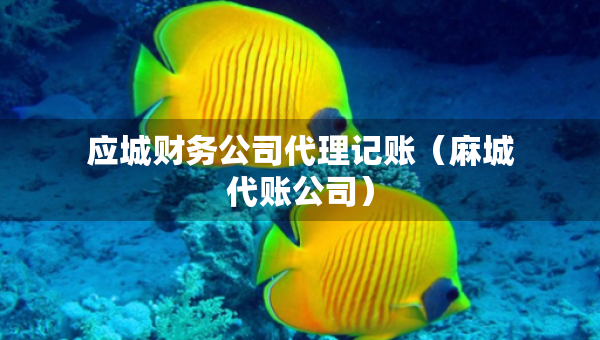 應(yīng)城財務(wù)公司代理記賬（麻城代賬公司）