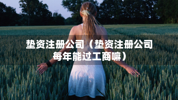 墊資注冊公司（墊資注冊公司每年能過工商嘛）