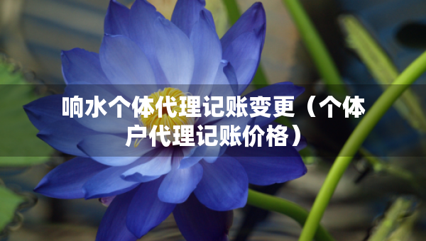 響水個體代理記賬變更（個體戶代理記賬價格）
