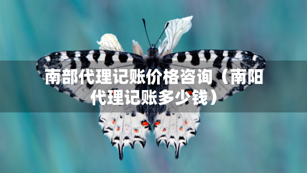 南部代理記賬價(jià)格咨詢（南陽(yáng)代理記賬多少錢）