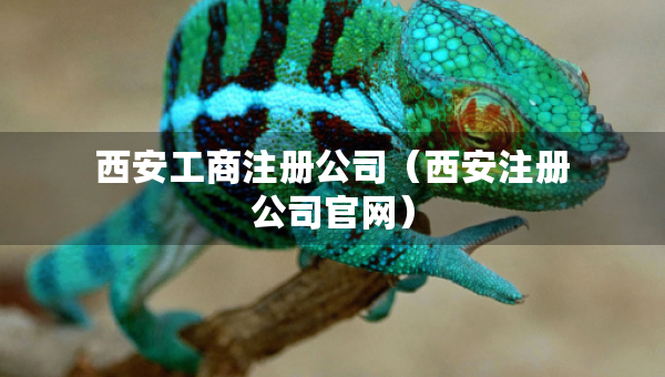 西安工商注冊(cè)公司（西安注冊(cè)公司官網(wǎng)）