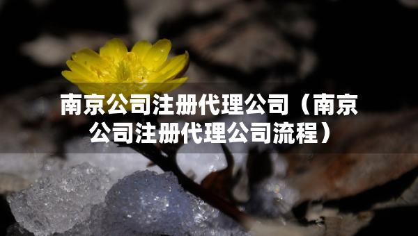 南京公司注冊代理公司（南京公司注冊代理公司流程）
