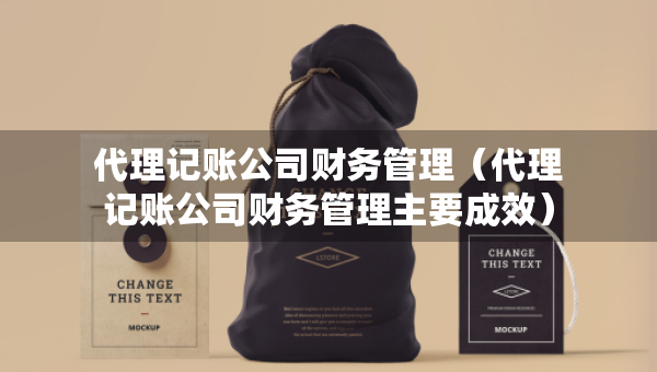 代理記賬公司財務(wù)管理（代理記賬公司財務(wù)管理主要成效）