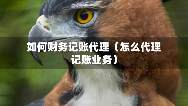 如何財務記賬代理（怎么代理記賬業(yè)務）