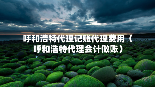 呼和浩特代理記賬代理費(fèi)用（呼和浩特代理會(huì)計(jì)做賬）