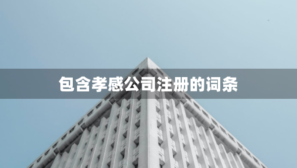 包含孝感公司注冊的詞條