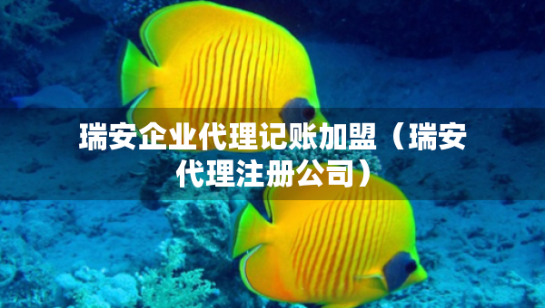 瑞安企業(yè)代理記賬加盟（瑞安代理注冊公司）