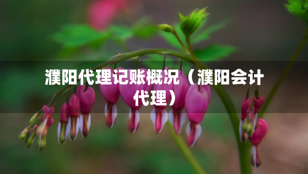 濮陽代理記賬概況（濮陽會(huì)計(jì)代理）