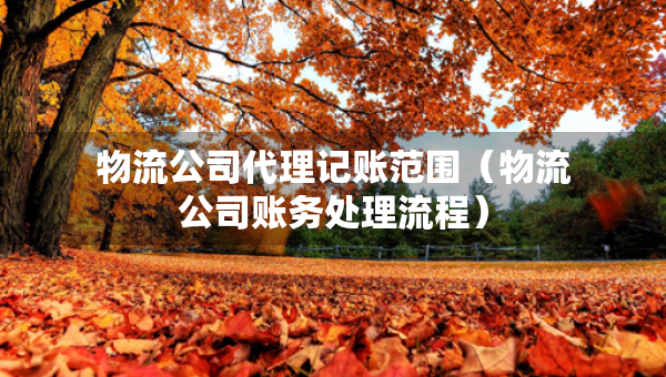 物流公司代理記賬范圍（物流公司賬務(wù)處理流程）