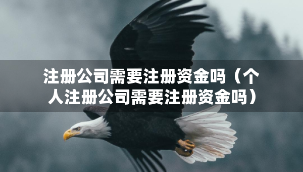 注冊公司需要注冊資金嗎（個人注冊公司需要注冊資金嗎）