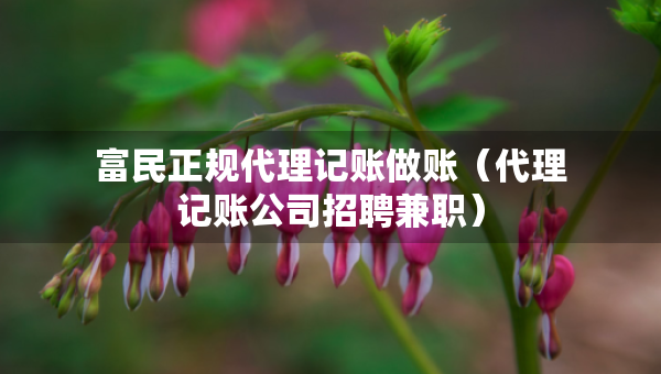 富民正規(guī)代理記賬做賬（代理記賬公司招聘兼職）