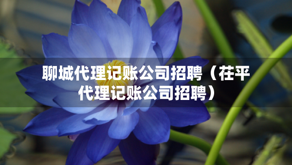 聊城代理記賬公司招聘（茌平代理記賬公司招聘）