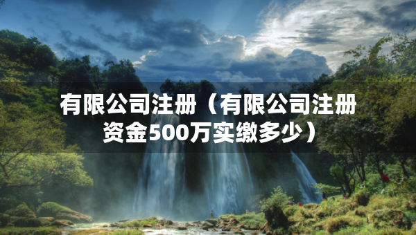 有限公司注冊（有限公司注冊資金500萬實繳多少）