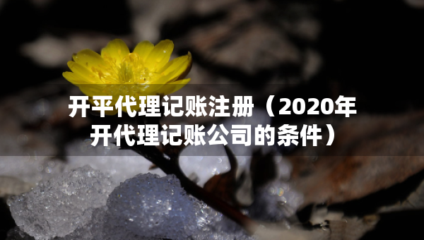 開平代理記賬注冊（2020年開代理記賬公司的條件）