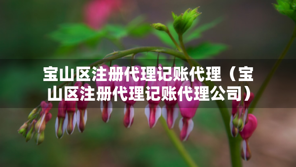 寶山區(qū)注冊代理記賬代理（寶山區(qū)注冊代理記賬代理公司）