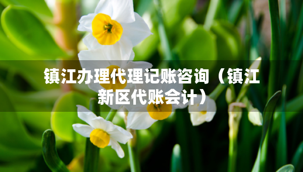 鎮(zhèn)江辦理代理記賬咨詢（鎮(zhèn)江新區(qū)代賬會(huì)計(jì)）