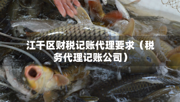 江干區(qū)財(cái)稅記賬代理要求（稅務(wù)代理記賬公司）
