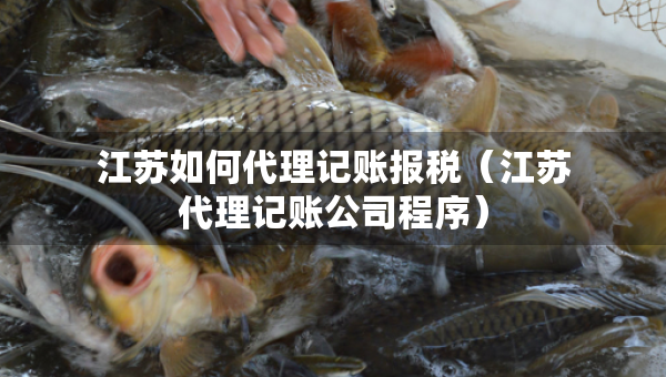 江蘇如何代理記賬報(bào)稅（江蘇代理記賬公司程序）