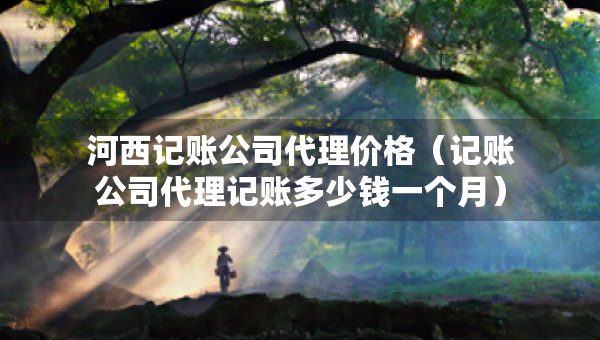 河西記賬公司代理價(jià)格（記賬公司代理記賬多少錢一個(gè)月）