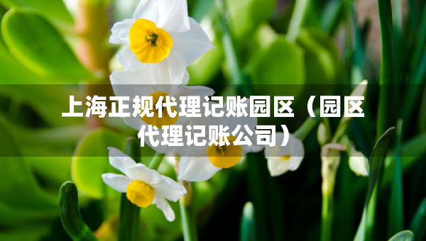 上海正規(guī)代理記賬園區(qū)（園區(qū)代理記賬公司）