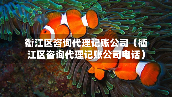 衢江區(qū)咨詢代理記賬公司（衢江區(qū)咨詢代理記賬公司電話）