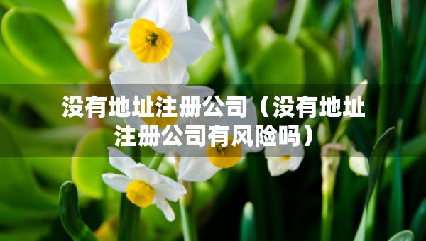 沒有地址注冊公司（沒有地址注冊公司有風(fēng)險嗎）
