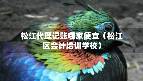 松江代理記賬哪家便宜(松江區(qū)會(huì)計(jì)培訓(xùn)學(xué)校) 松江代理記賬哪家便宜(松江區(qū)會(huì)計(jì)培訓(xùn)學(xué)校)