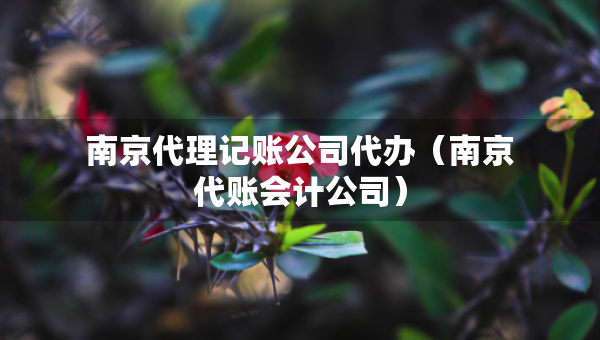 南京代理記賬公司代辦（南京代賬會計公司）