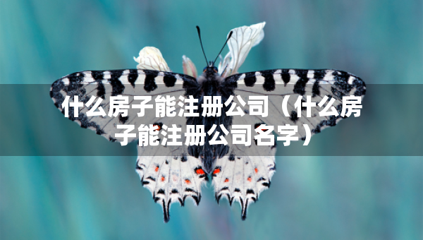 什么房子能注冊公司（什么房子能注冊公司名字）