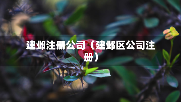 建鄴注冊(cè)公司（建鄴區(qū)公司注冊(cè)）