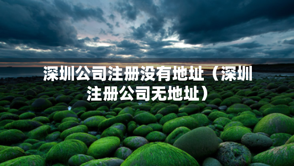 深圳公司注冊沒有地址（深圳注冊公司無地址）