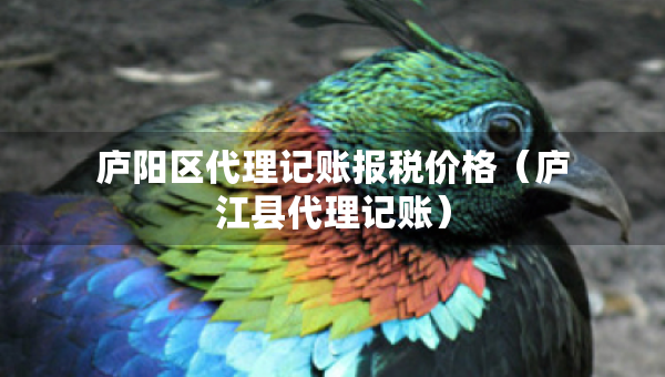 廬陽區(qū)代理記賬報稅價格（廬江縣代理記賬）