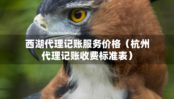 西湖代理記賬服務(wù)價格（杭州代理記賬收費(fèi)標(biāo)準(zhǔn)表）