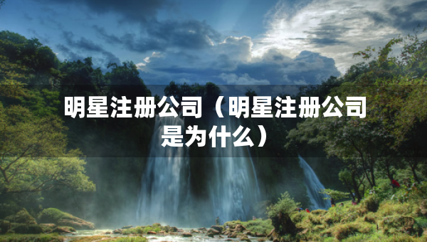 明星注冊公司（明星注冊公司是為什么）