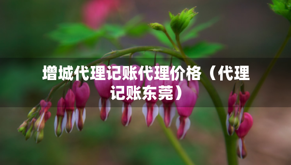 增城代理記賬代理價(jià)格（代理記賬東莞）