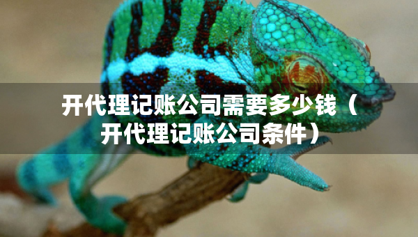 開代理記賬公司需要多少錢（開代理記賬公司條件）