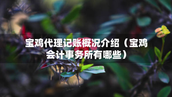 寶雞代理記賬概況介紹（寶雞會計事務所有哪些）
