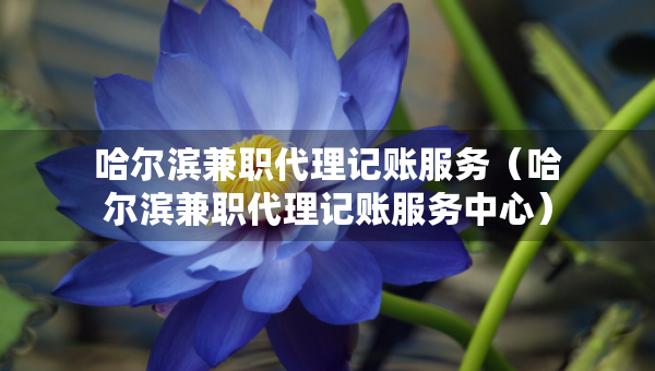 哈爾濱兼職代理記賬服務(wù)（哈爾濱兼職代理記賬服務(wù)中心）