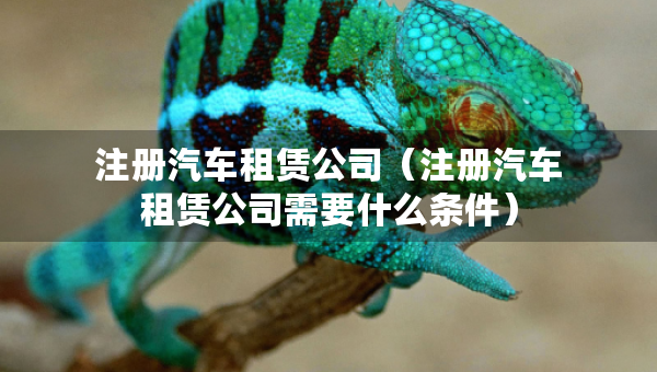 注冊(cè)汽車租賃公司（注冊(cè)汽車租賃公司需要什么條件）