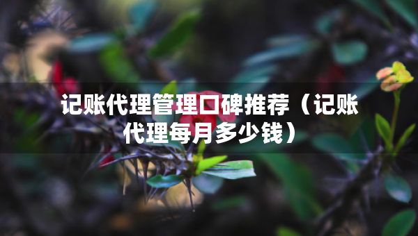 記賬代理管理口碑推薦(記賬代理每月多少錢) 記賬代理管理口碑推薦(記賬代理每月多少錢)