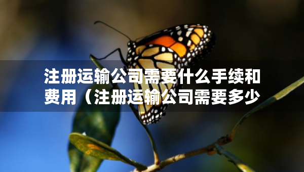 注冊運輸公司需要什么手續(xù)和費用（注冊運輸公司需要多少注冊資金）