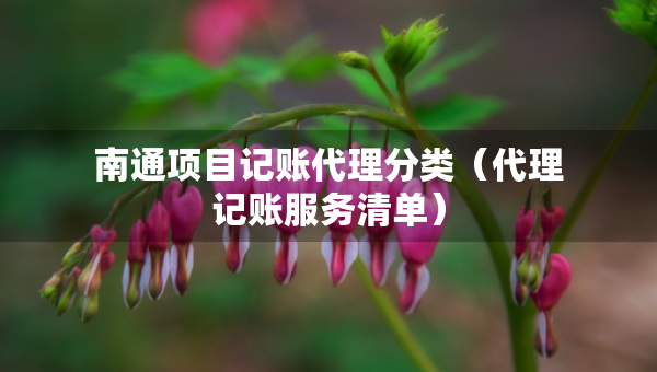 南通項(xiàng)目記賬代理分類(lèi)（代理記賬服務(wù)清單）
