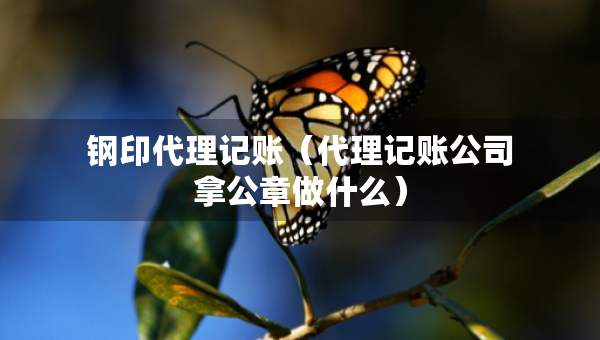 鋼印代理記賬（代理記賬公司拿公章做什么）
